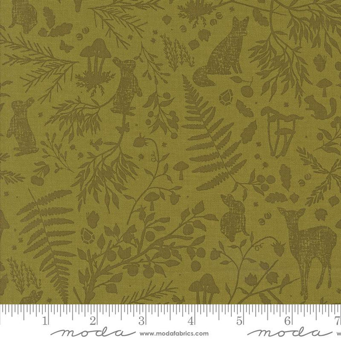 MO Frivolity Lichen 43192 14