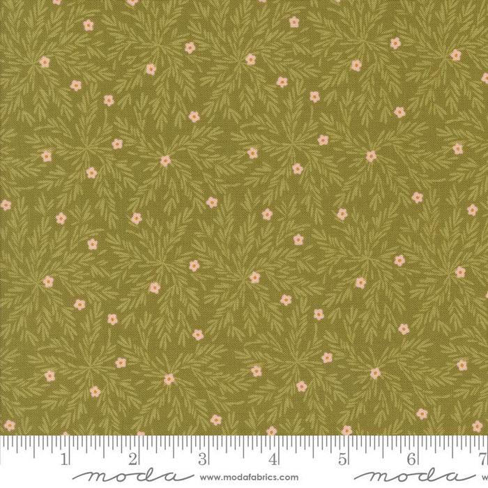 MO Frivolity Lichen 43194-14