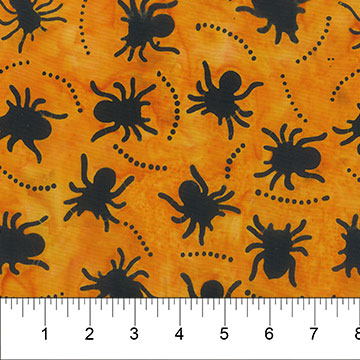 NC Midnight Magic SPIDERS