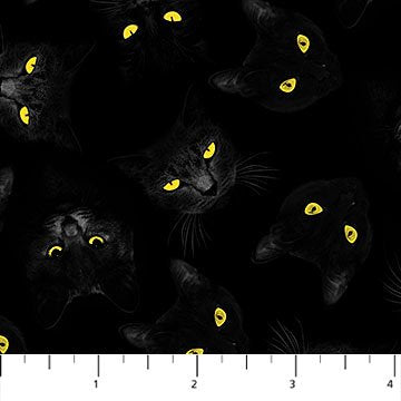 NC Hocus Pocus Black