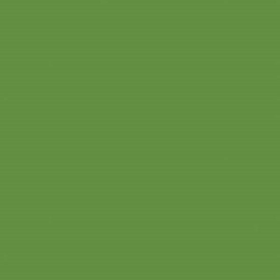 HO 24/7 Solids T4878 44 Forest