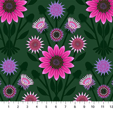 NC Anna Maria Lifespan Sage
