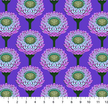 NC Anna Maria Strawflower Periwinkle