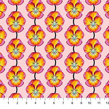NC Anna Maria Pansy Flame