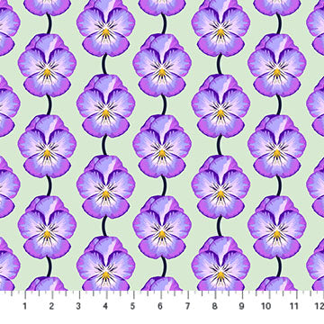 NC Anna Maria Pansy Lavender