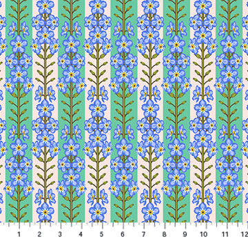 NC Anna Maria Forgetmenot Fresh