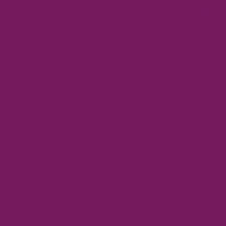 RB Confetti Cottons Boysenberry