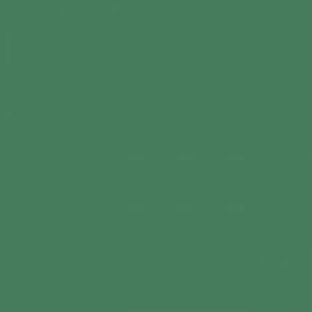 RB Confetti Cottons Cactus