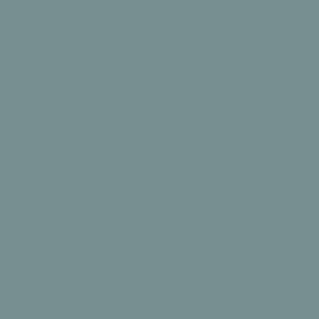 RB Confetti Cottons Dolphin