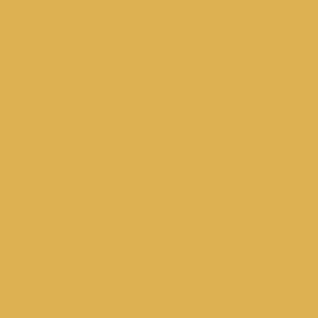 RB Confetti Cottons Golden