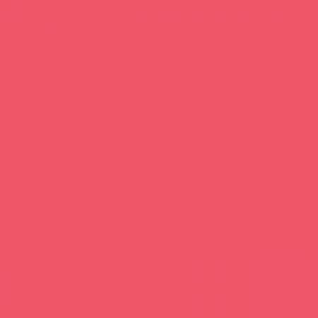 RB Confetti Cottons Guava