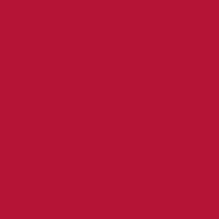 RB Confetti Cottons Redwood
