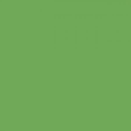 RB Confetti Cottons Riley Green