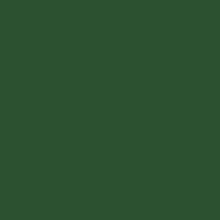 RB Confetti Cottons Timberline
