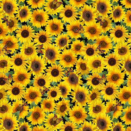 TT Yellow Packed Sunflower & Butterflies