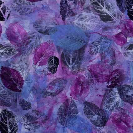 CW Eggplant Midnight Dreams