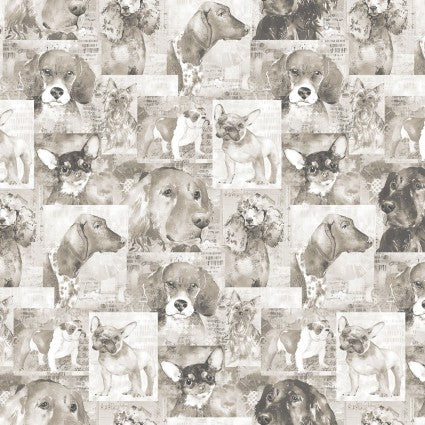 CW Best Friends-Collage Taupe