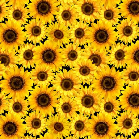TT Yellow Packed Metallic Sunflowers