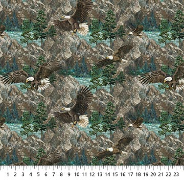 NC Eagle Scenic Blue Multi-Eagle Pass