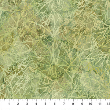 NC Autumn Breeze Branches Lt Green