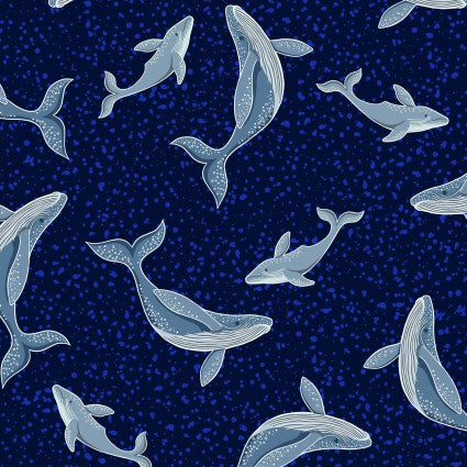 LI Ocean Glow Navy Whale A781-3