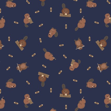 LI Small Things Rivers and Creeks-Beaver