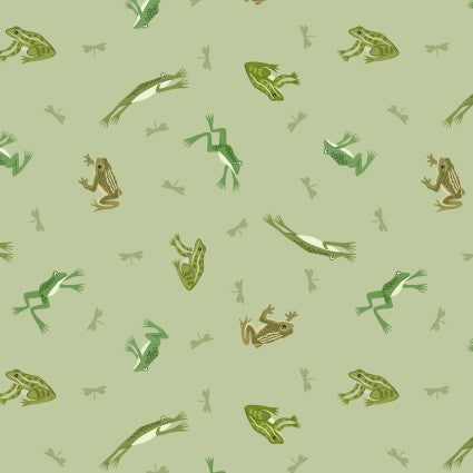 LI Small Things Rivers and Creeks- Frogs