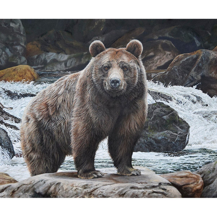 No Fish Today Bear Quilt Kit