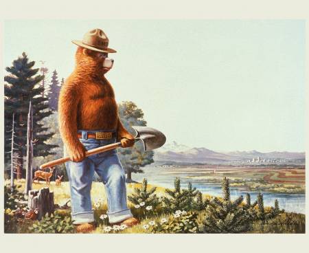 Friends of Smokey Bear Panel