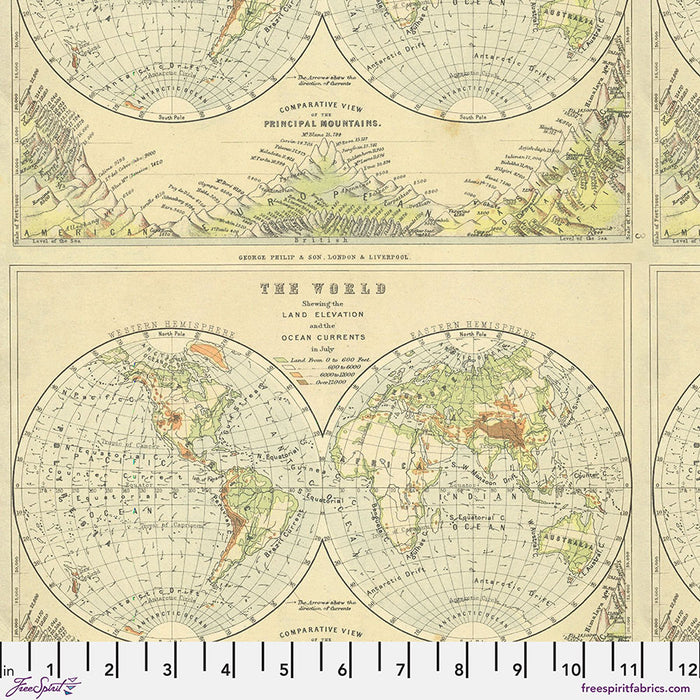 FS Green- Map Tim Holtz PWTH263