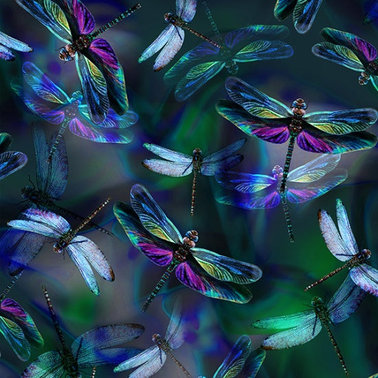 HO R4629 324 Dragonfly Dragonfly Dream