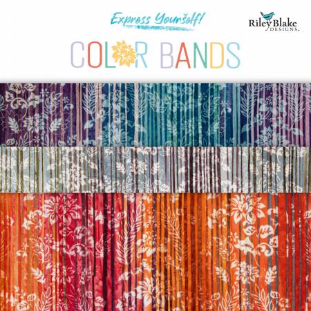 RB Batiks Express Yourself Color Bands 2.5in Strips, 40pcs