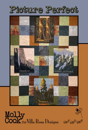 Picture Perfect Pattern-Villa Rosa Designs