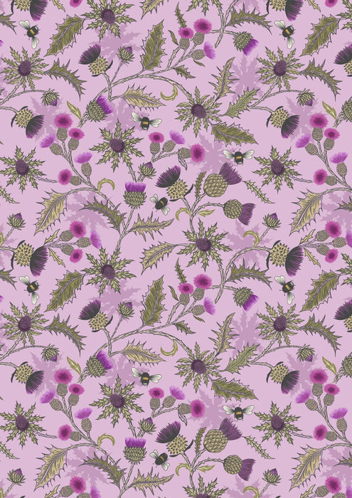 LI Highlands Cows Thistle on Lavendar A875