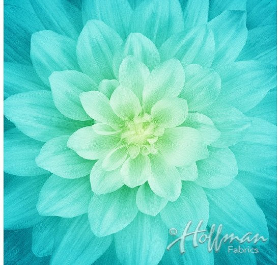 HO Dream Big PANEL P4389-560 Tidepool
