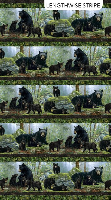 NC Bear's Den Border Stripe 27621-99