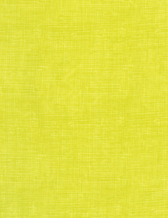 TT Sketch Basic C8224-Apple
