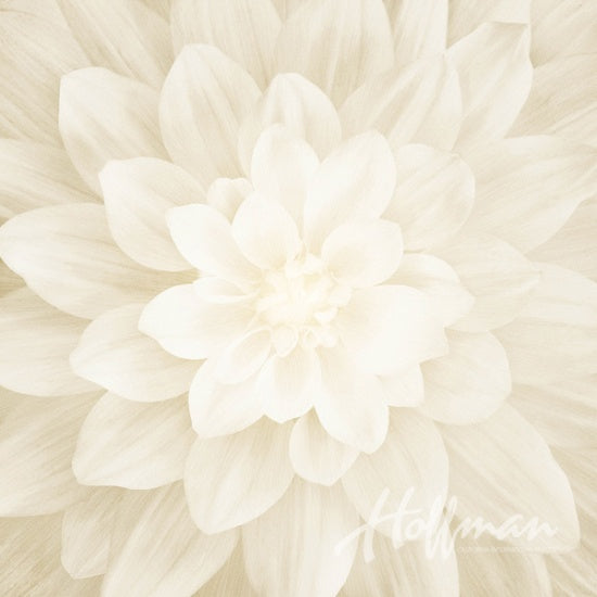 HO Dream Big PANEL P4389-22-Ivory
