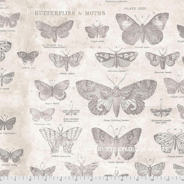 FS Monochrome Butterflies Parchment Tim Holtz PWTH004