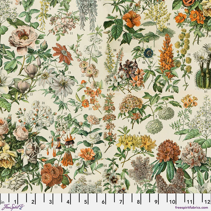 FS Botanical Orange Tim Holtz PWTH237