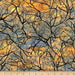NC The View from Here DP23415 43 Lakeside Night