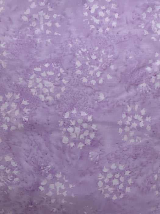 AN Spacey Daisy Lavender