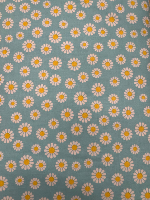 PL Aqua Daisies