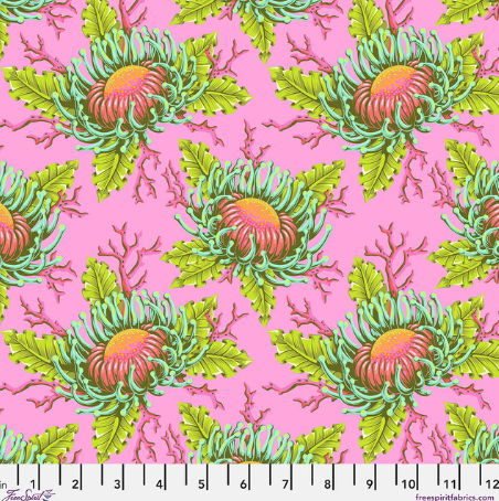 FS Friends & Anemones - Coralline || Floral Reef