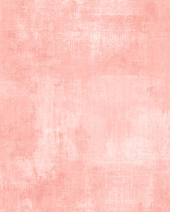 WL Dry Brush 89205 800 Coral