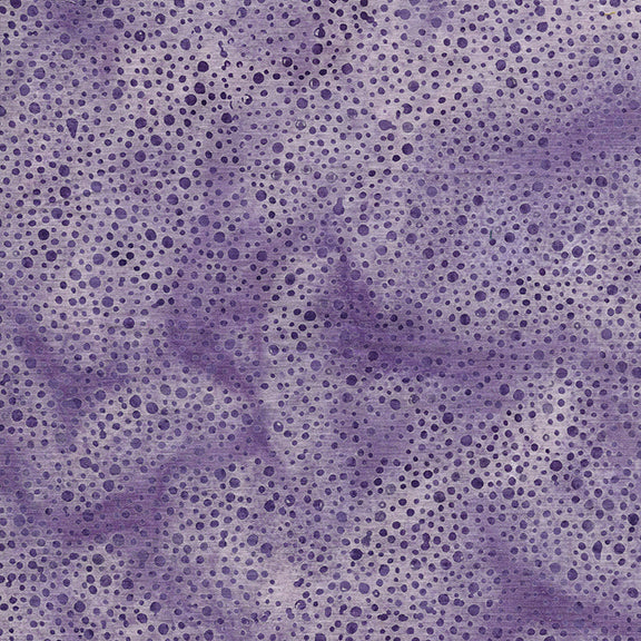 IB  Dots-Purple Heather