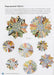 Dresden Quilt Blocks Reimagined