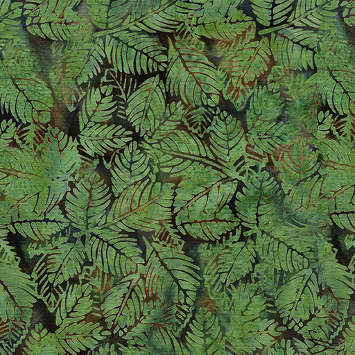 IB  Leaves-Eucalyptus