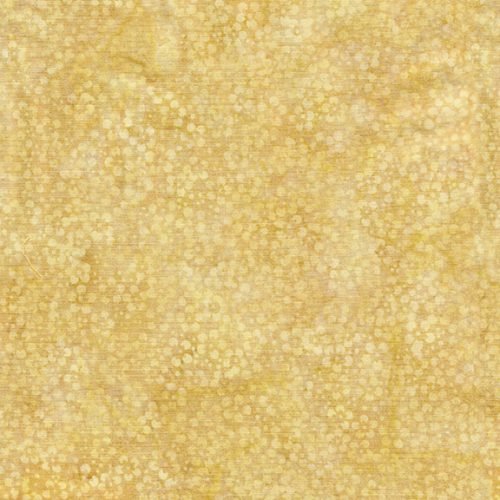 IB Mini Dot Blond Ale