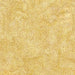 IB Mini Dot Blond Ale